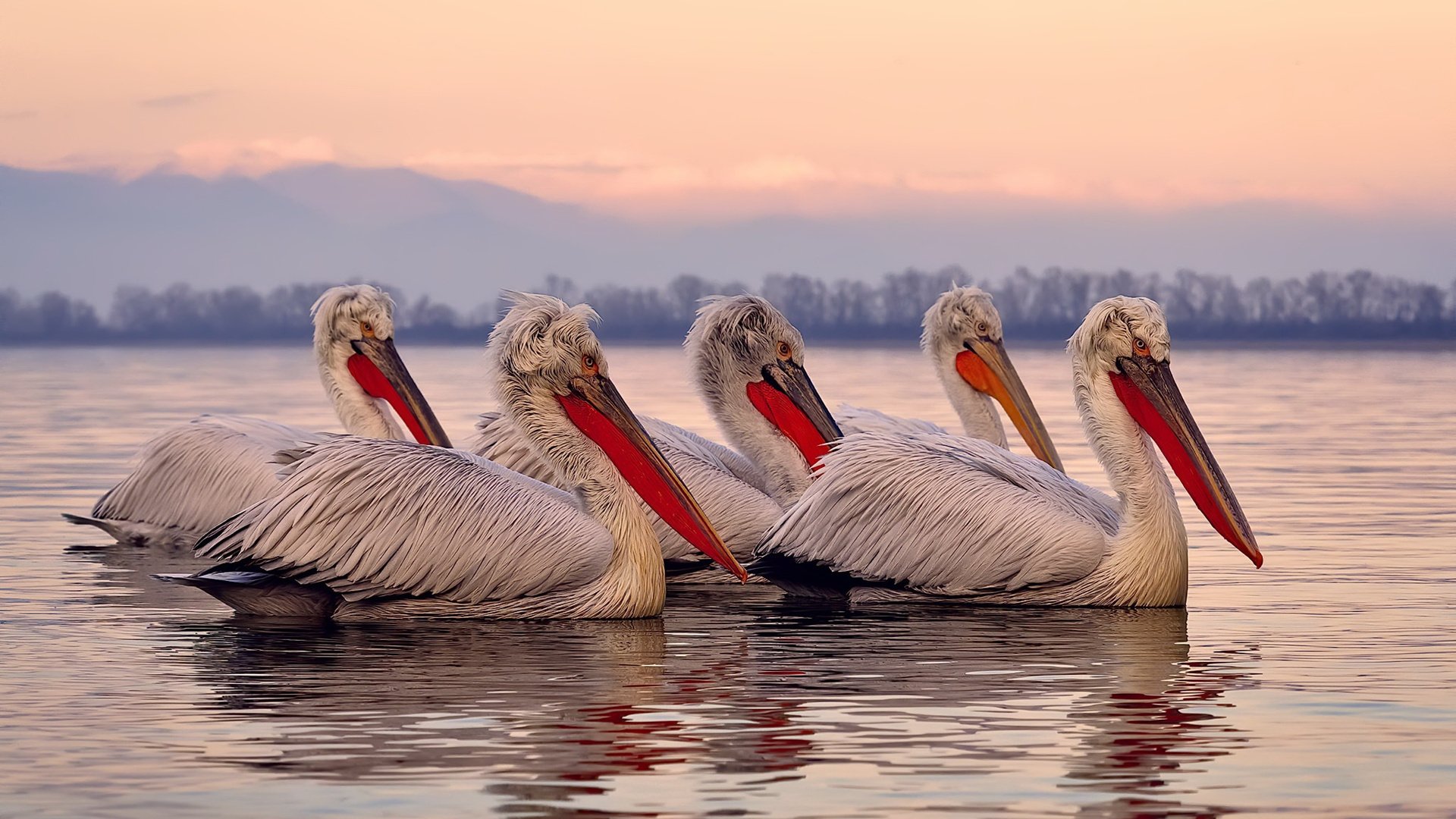 爱游戏下载-《电竞赛事中的安全措施：筑牢安全防线》，电竞赛事现场风险预案