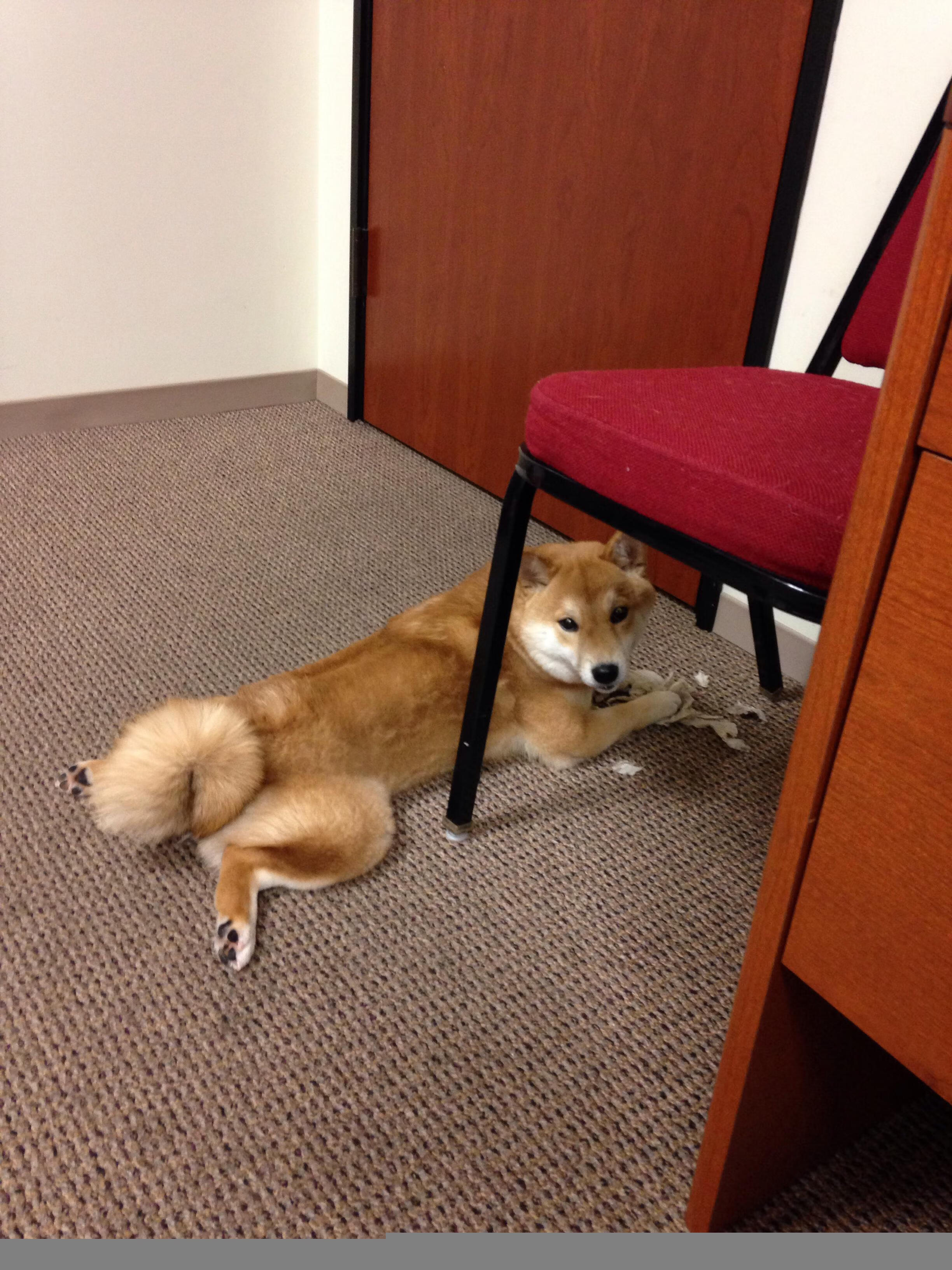 爱游戏综合娱乐-【训练秘籍】运动员每日必做的练球技巧盘点，训练运球能力的方法有哪些