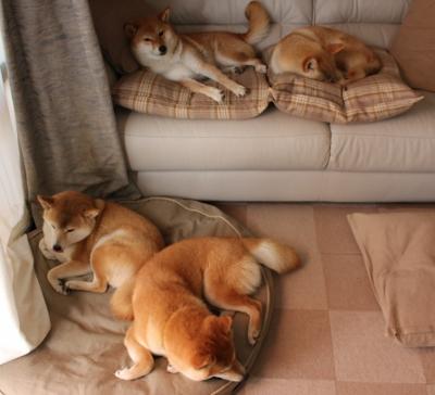 利兹联迎来本赛季最佳表现,主场全取三分,利兹联比赛视频