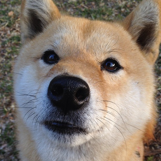 西甲新赛季赛事全纪录，精彩不断，西甲新赛季球队