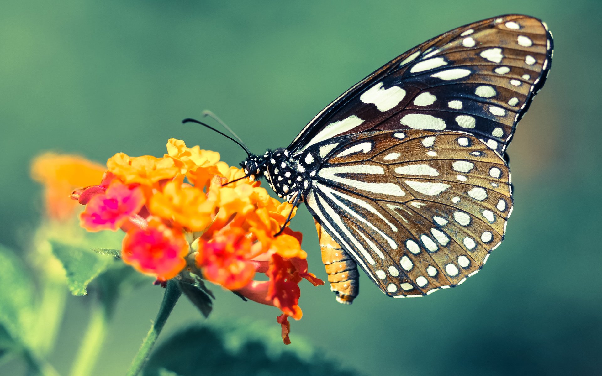 爱游戏体育（AYX）官方APP下载-青少年“青春励志故事会”在中国各地持续展开，弘扬正能量，青少年励志故事及感悟