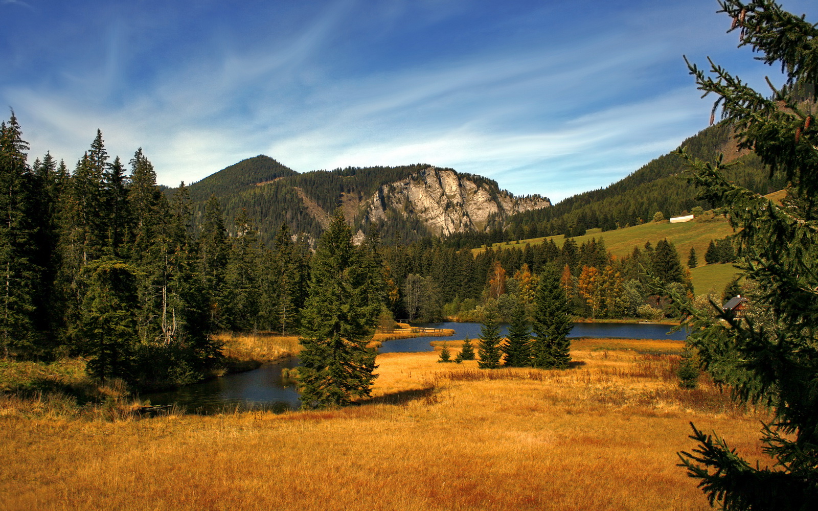 墨西哥队备战夏季联赛,测试阵容深度,墨西哥联赛水平