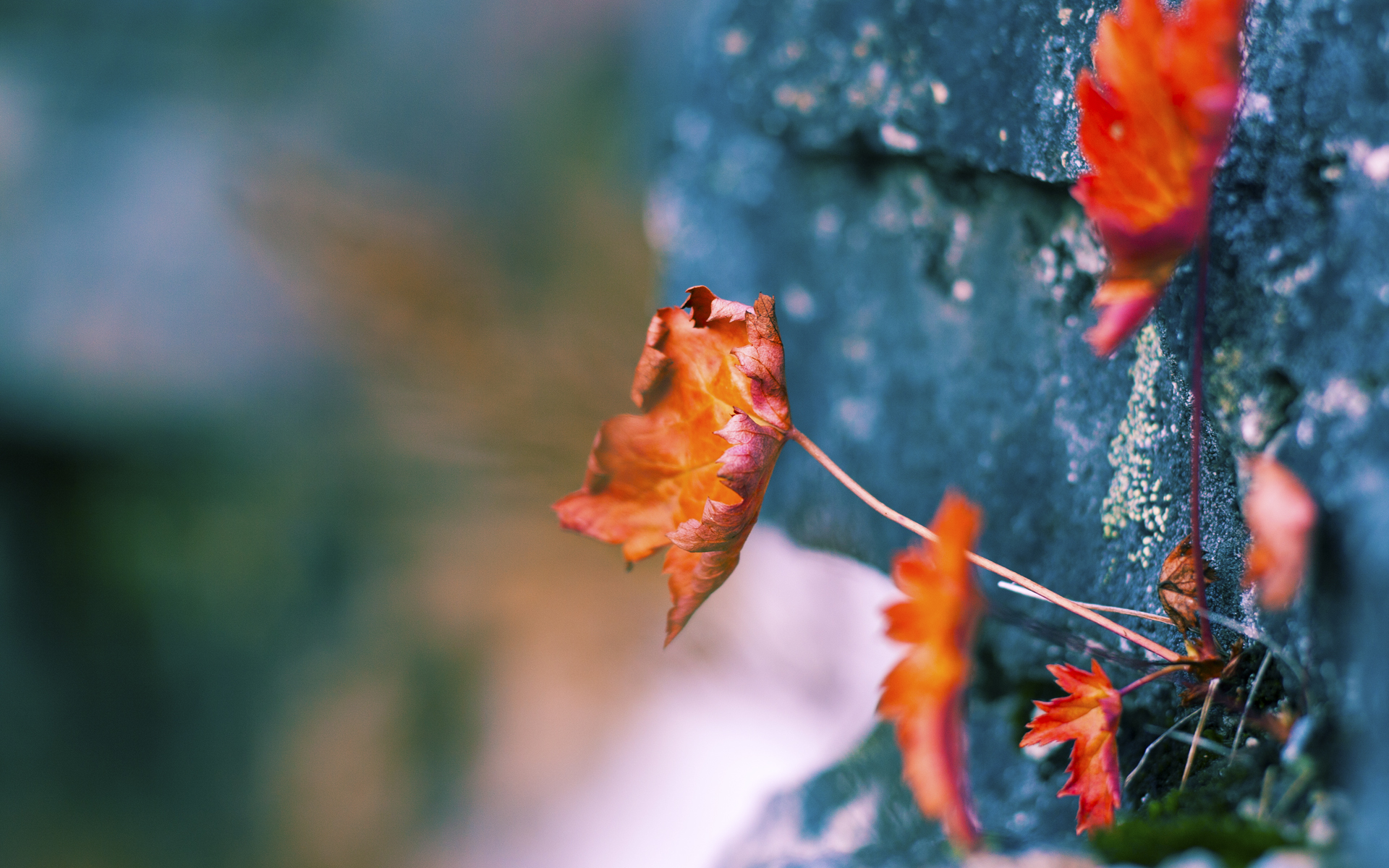 -广厦控股球队精神面貌焕然一新，广厦控股近况