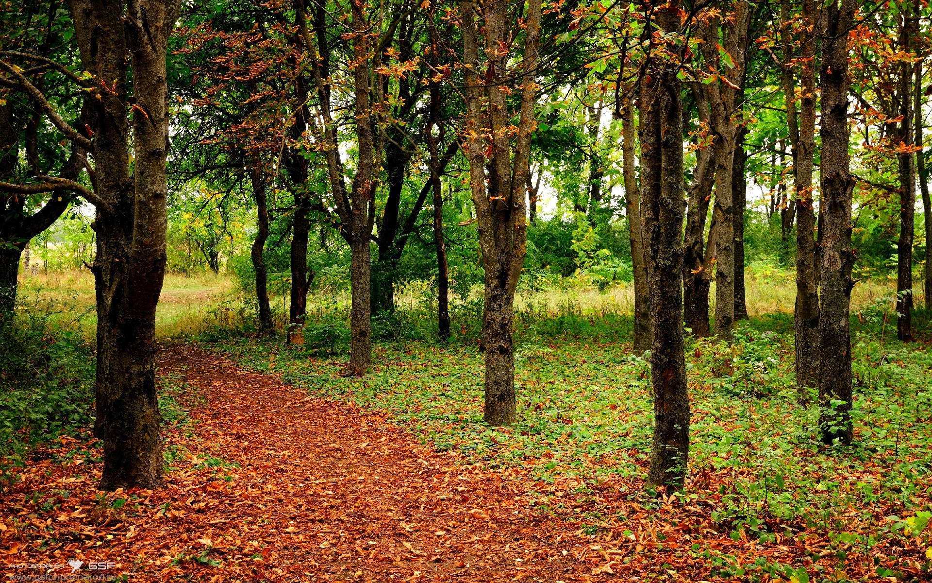 意大利豪门国际米兰战败,意甲领先优势缩小,意大利杯 国际米兰对ac米兰