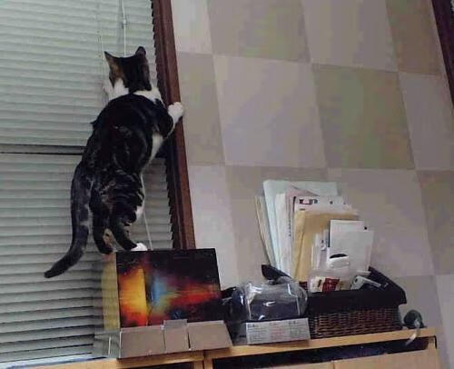 AIYOUXI.COM-曼城主场小胜沃特福德，保住前四位置，曼城大胜