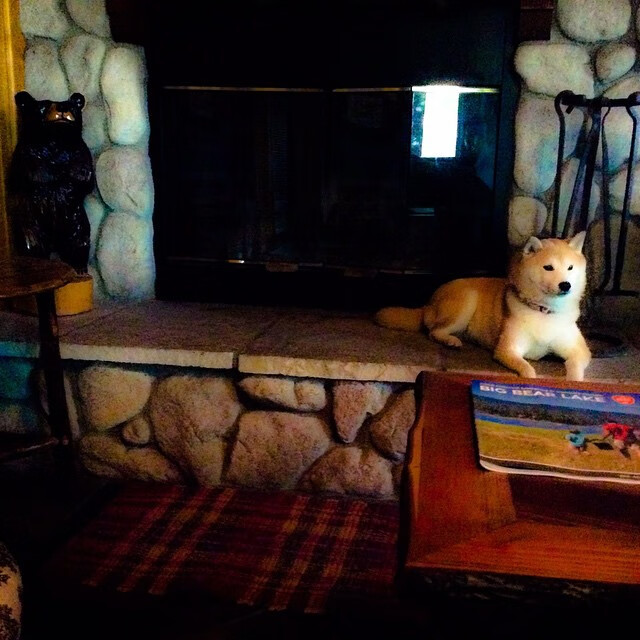 AIYOUXI.COM-普里吉奥尼将担任西部全明星助理教练，首次亮相NBA全明星赛，普里吉奥尼妻子