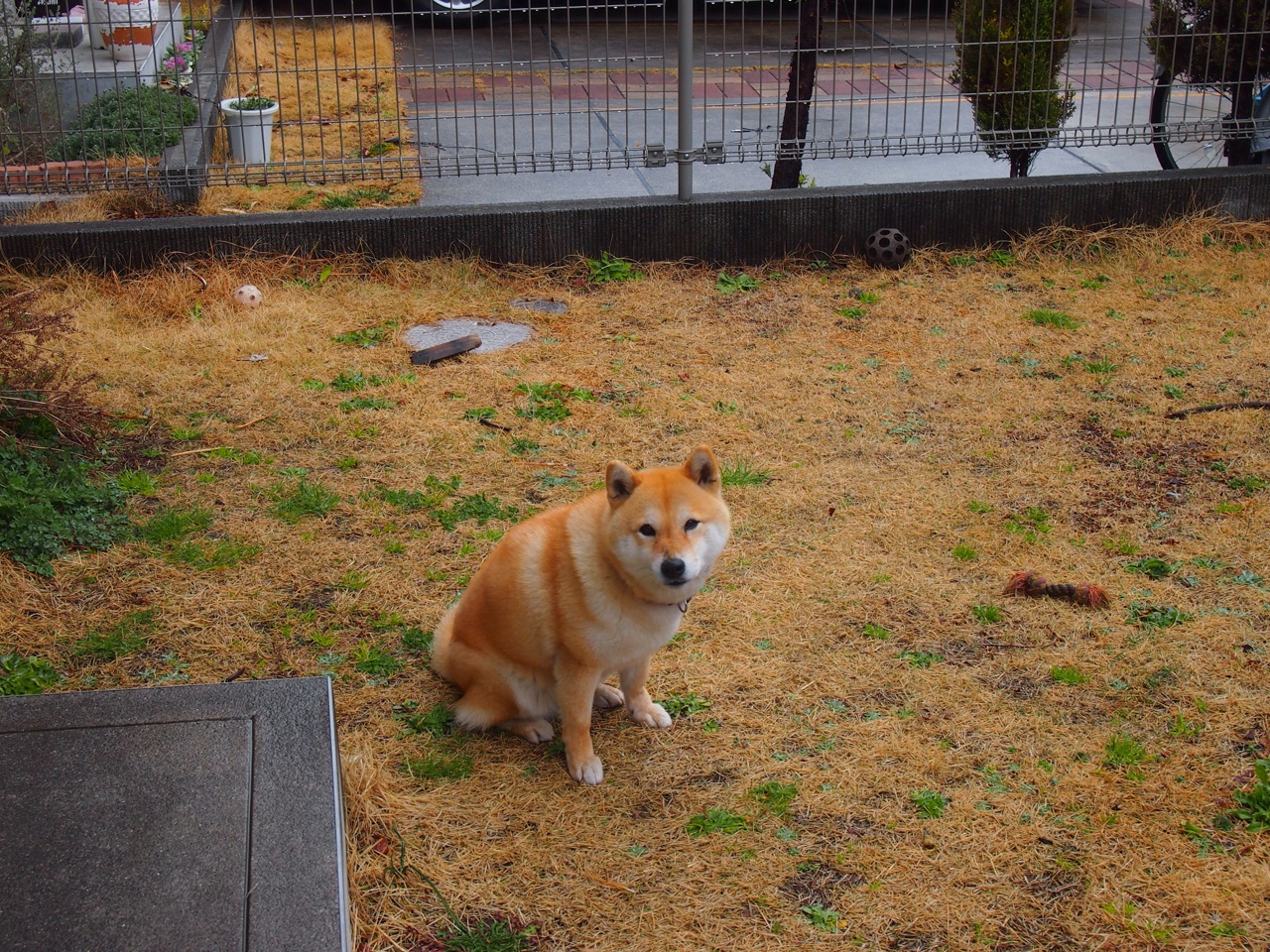 深度解析拳击选手饮食结构,拳击手饮食食谱