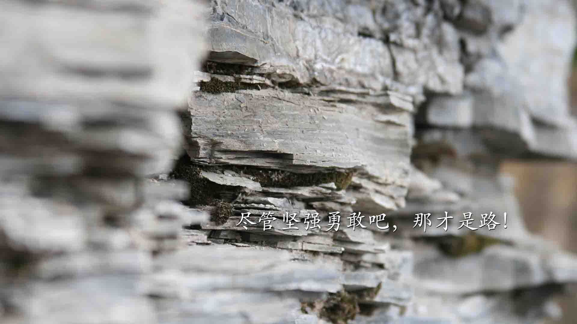 球员合同条款是否应增加行为约束机制,职业球员合同条款