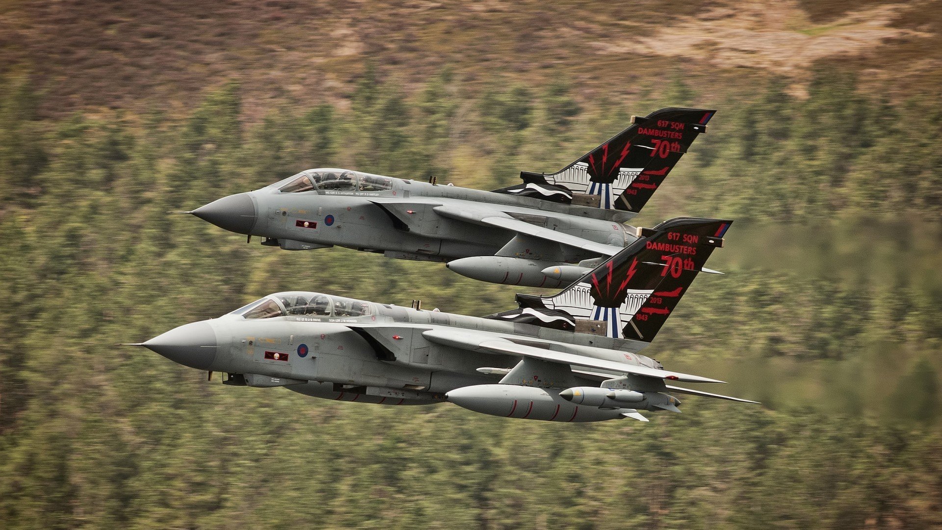 爱游戏体育app-贵州金牛队主场力擒对手，赢得比赛胜利，贵州金牛鸽舍信鸽图片