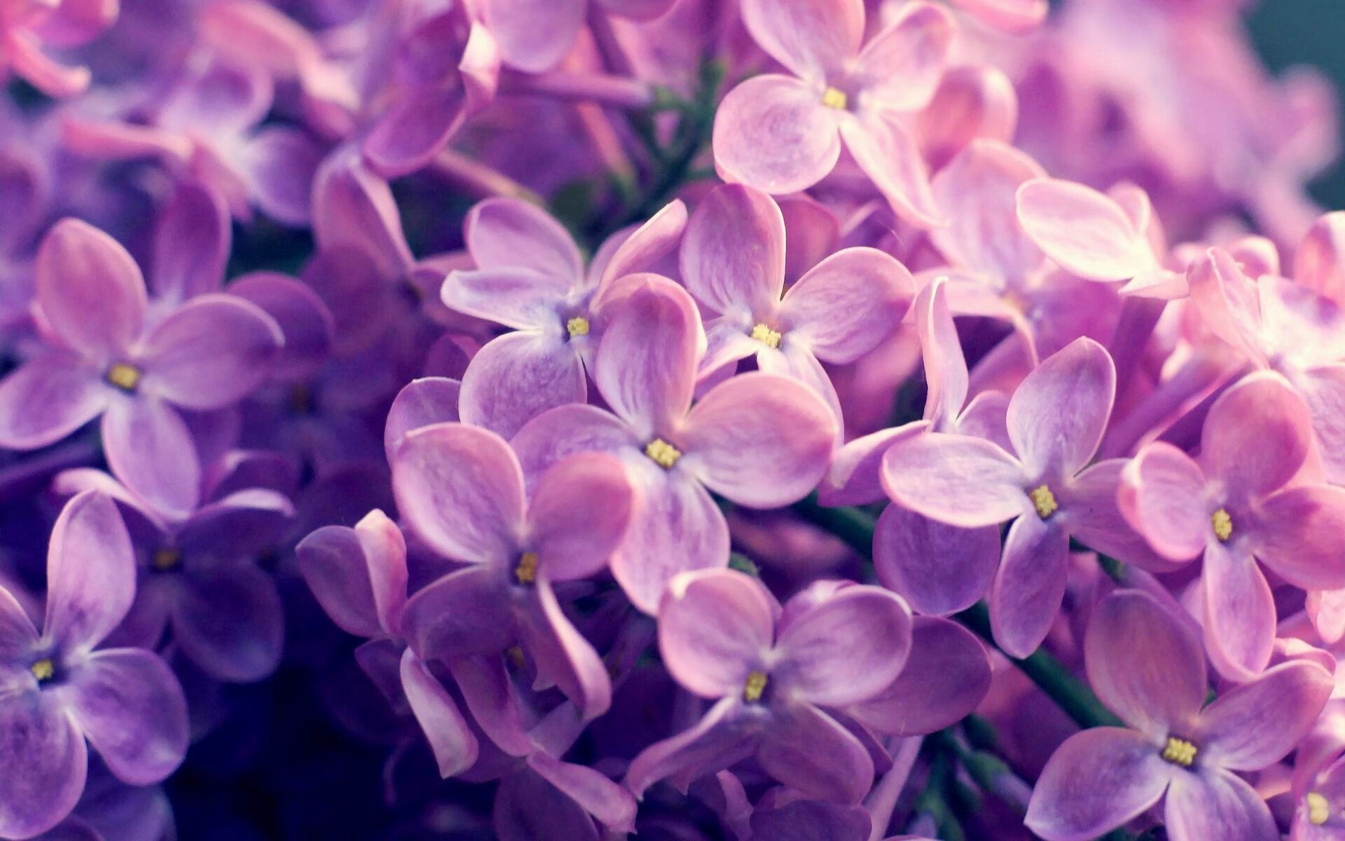 爱游戏体育app-青海队在最新一场比赛中获得重要胜利，表现不俗，青海篮球赛事