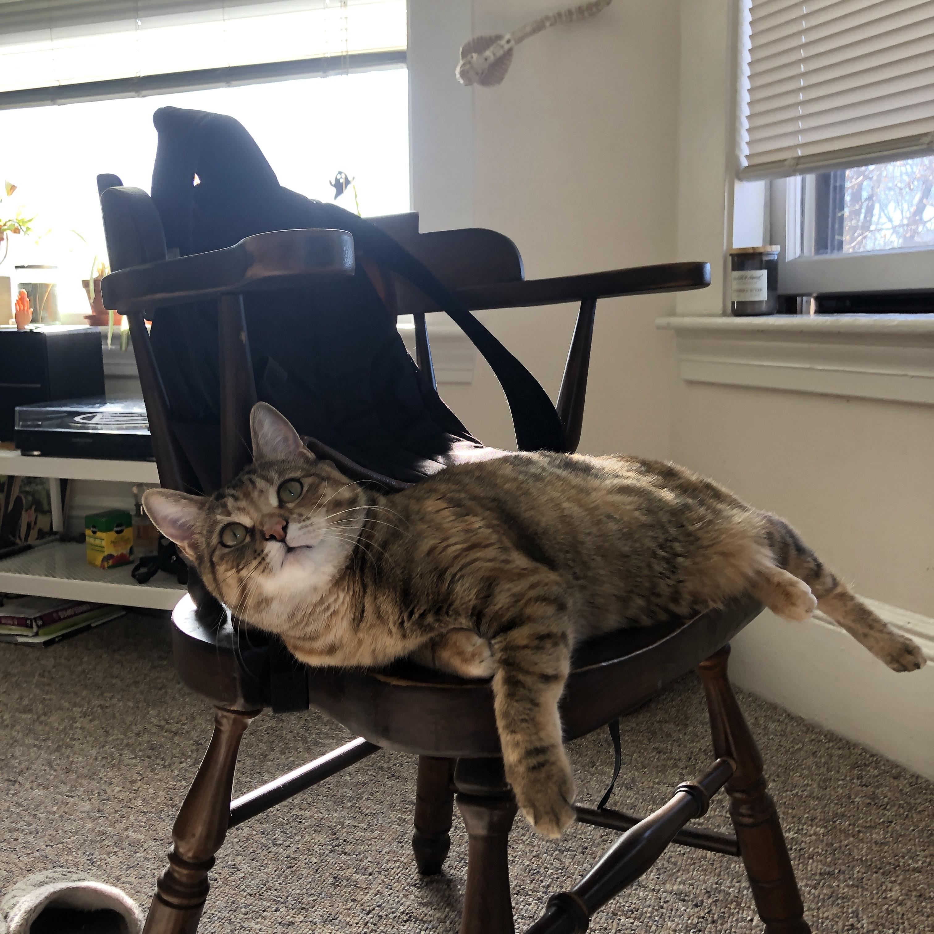 爱游戏-中国三人女篮加强快攻训练 提升得分效率，中国三人女篮规则