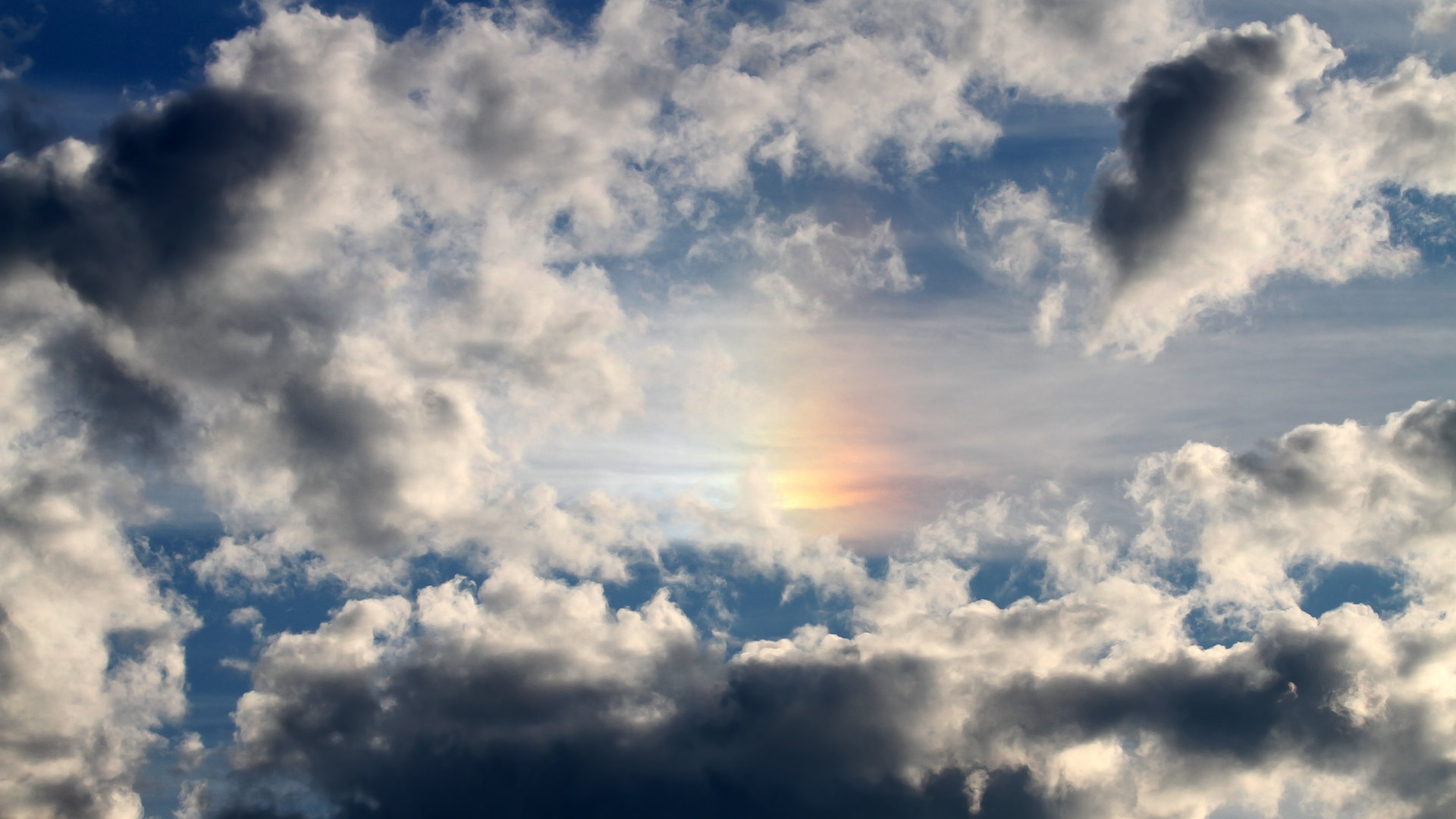 自由泳预赛瑞士选手全部晋级,4×200自由泳预赛